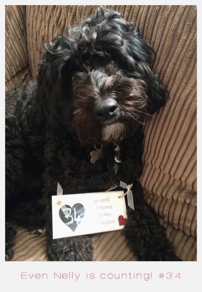 nelly countdown 34 days to go